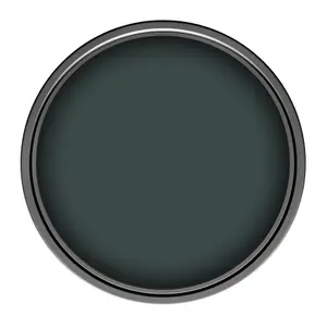 Leyland Trade Vinyl Soft Sheen Walls & Ceilings Emulsion Paint Black Green (RAL 6012) - 5L