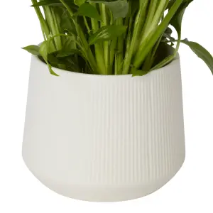 Verve Peace lily in White Ceramic Decorative pot 14cm