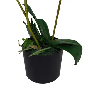 65cm Artificial Luxury Artificial Orchid - 3 Stems - Soft White Plant