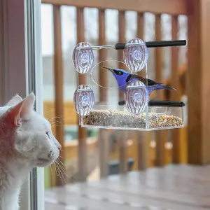 Window Bird Feeder With Suction Cups