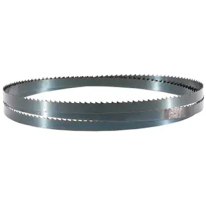 Draper  Wood Bandsaw Blade, 1575 x 9.5mm, 6tpi 00523