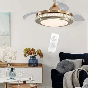 Diep Ceiling Fan with LED Lights