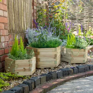 Forest Garden York Wooden Hexagonal Planter, Pack of 3 (H)33cm (W)50cm