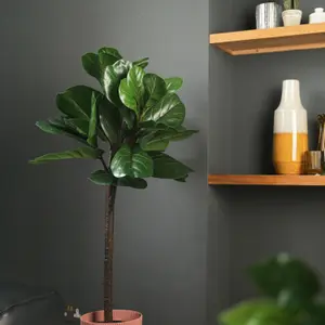 Artificial Fiddle Leaf Tree - 120cm / 4ft Floor Standing Fake Plant