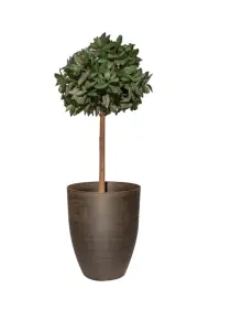 Primrose Black Cortina Stone Cone Round Tall Garden Planter 53cm