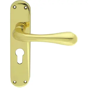 Rounded Flaired Latch & EURO Lock Door Handle - Polished Brass Lever Backplate