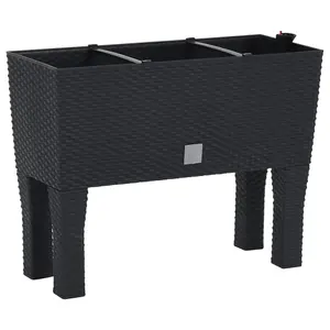 Berkfield Raised Garden Bed Anthracite 60x25x46 cm PP Rattan