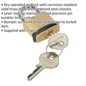 Durable 30mm Brass Padlock with 5mm Hardened Steel Shackle and 2 Keys