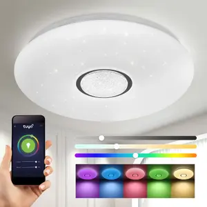 LED Smart Ceiling Light, 24 Watts RGB CCT 2700K-6500K, Dimmable