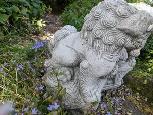 Pair of Medium Chinese Foo Dogs statues