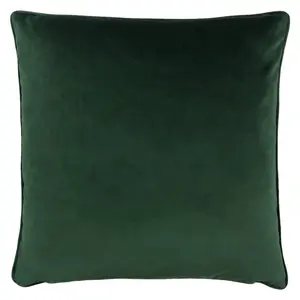 Paoletti Veadeiros Botanical Piped Feather Filled Cushion