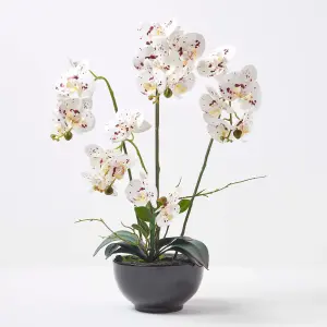 Homescapes White Orchid 62 cm Phalaenopsis in Ceramic Pot Extra Large, 5 Stems