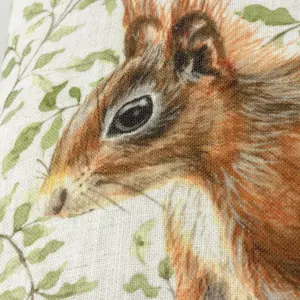 Evans Lichfield Shugborough Squirrel Traditional Feather Rich Cushion