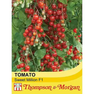 Tomato Sweet Million F1 Hybrid 1 Seed Packet