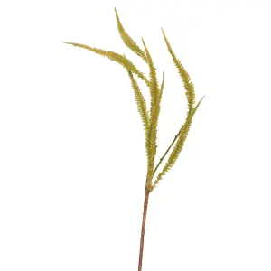 Bloom Artificial Single Dog Tail Fern Stem - Faux Fake Silk Flower Indoor Home Decoration Floral Arrangements - Measures L50cm