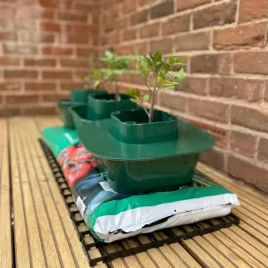 Set of 3 Tomato & Vegetable Growbag Pots with Planting Guard