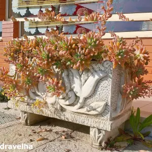 Medium size Tulip design White Stone Planter Trough