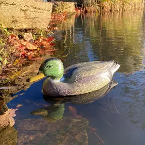 Mallard Duck Hunting Shooting Floating Decoy Pond Decoration Large