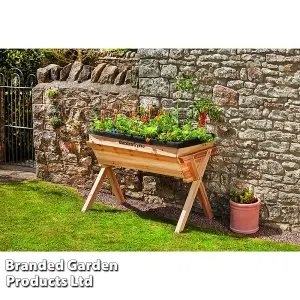 Raised Vegetable Planter Outdoor Large Wooden Flower Bed Box for Plants & Vegetables (Large Vegetable Planter)