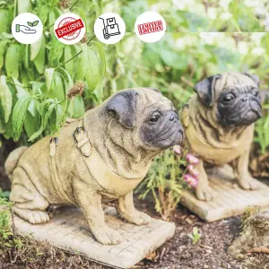 Pair of Full Size Sitting Pugs Stone Statues