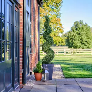 Blooming Artificial - 150cm / 5ft Artificial Boxwood Spiral (Pair) Topiary