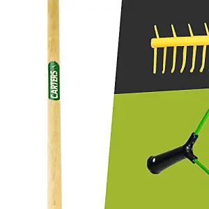 Pegdev - PDL - Professional 32-Tooth Landscaping Polypropylene Rake with Hardwood Handle - Heavy Duty for Soil Grass Sand Leaves