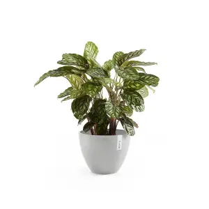 Antwerp Smooth Finish Ecopot 50cm White