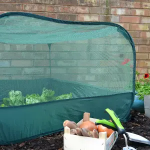 GardenSkill Pop Up Garden Grow House Bird Mesh Vegetable Protection Fruit Cage 1.25x0.65m H