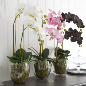 Bloom Artificial Pink Double Phalaenopsis Plant in Vase - Faux Fake Orchid Houseplant Floral Home Decoration - H60cm x W30cm