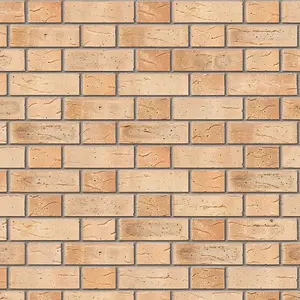 Ibstock Minster Beckstone Mix  Brick 65mm Mini Pack 250