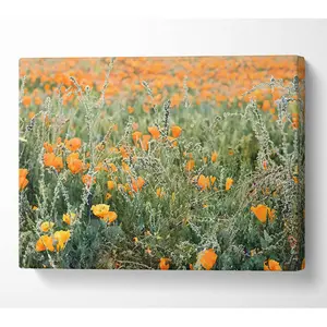 Orange Flowers In The Spring Field - Wrapped Canvas Print 50.8cm H x 81.3cm W x 10cm D