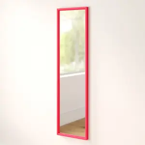 Overdoor Full Length Mirror Pink