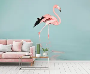 Flamingo Water Digital 400cm x 270cm