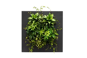 Bamboo Living Wall Picture Frame - Black