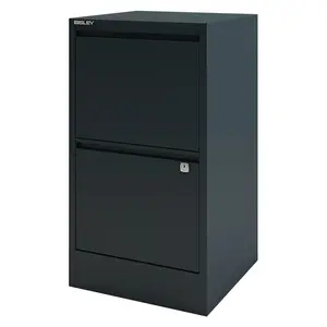 Home Filer 41.3cm Wide 2 -Drawer Solid Wood File Cabinet Anthracite