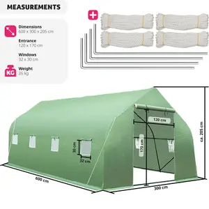 Greenhouse - polytunnel with 8 windows, 600 x 300 x 205 cm - 600 x 300 x 205 cm