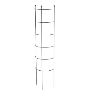 Primrose Modern Farmhouse Half Round Vegetable Ladder in Black 144cm