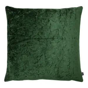 Ashley Wilde Kassaro Crushed Velvet Polyester Filled Cushion