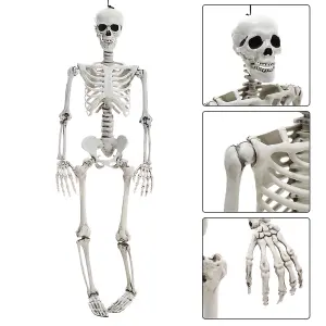 Halloween Realistic Full Body Skeleton Prop Decoration Posable Joints 90cm