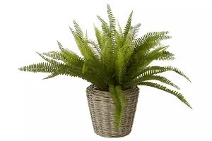 Fiori Boston Fern Succulent Artificial Plant Foliage