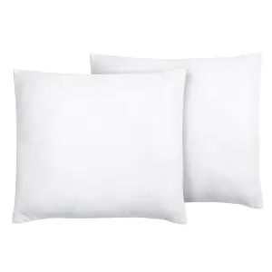 Set of 2 Pillows ERRIGAL Microfibre Low 80 x 80 cm White