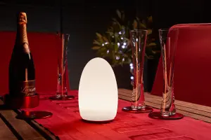 Auraglow Rechargeable Cordless Colour Changing LED Table Lamp - EGG