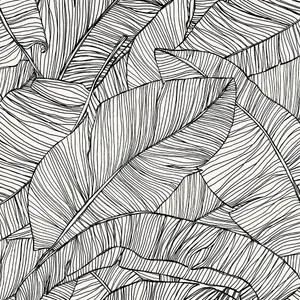 Superfresco Easy Kaya Mono Tropical Leaf Wallpaper