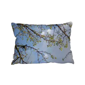 Tree Branches & Sky Outdoor Cushion / 30cm x 45cm