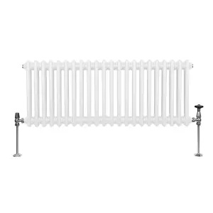 Traditional 2 Column Radiator - 300 x 1012 mm - White