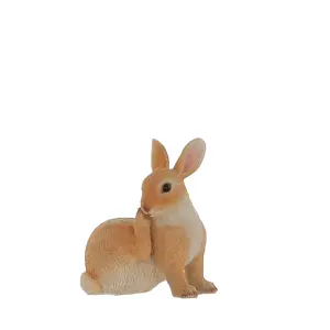 Terrastyle Brown Resin Rabbit Garden ornament (H)22cm