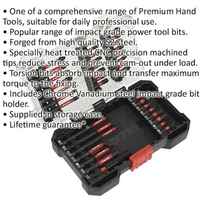 Comprehensive 38 Piece Impact Grade Power Tool Bit Set with Durable S2 Steel Bits and Storage Case