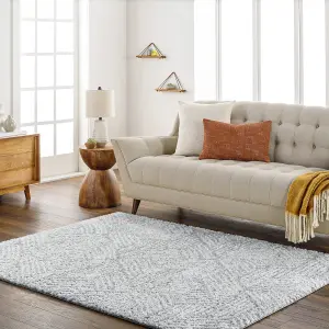 ALLIE Modern Shaggy Area Rug 160 x 213 cm