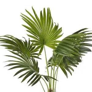 Artificial Plant FAN PALM Green