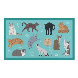 Cats Indoor & Outdoor Doormat (70 x 40cm)